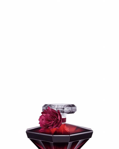 Lancome L’Nuit Tresor Intense